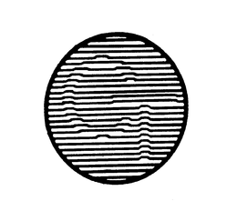 CT trademark