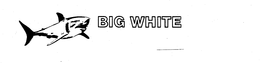 BIG WHITE trademark