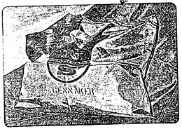 N S GENNAKER trademark