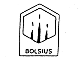 BOLSIUS trademark