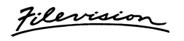 FILEVISION trademark