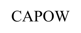 CAPOW trademark