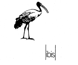 IBIS trademark