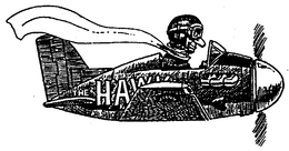 THE HAWK trademark