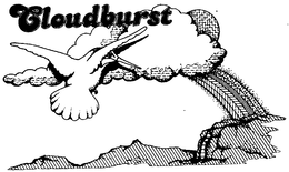 CLOUDBURST trademark