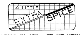 A LITTLE EXTRA SPICE trademark