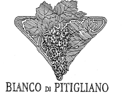 BIANCO DI PITIGLIANO trademark