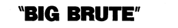 "BIG BRUTE" trademark