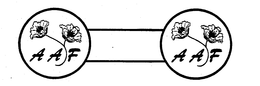 AAF AAF trademark