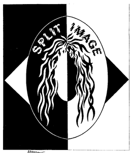 SPLIT IMAGE trademark