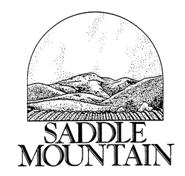 SADDLE MOUNTAIN trademark