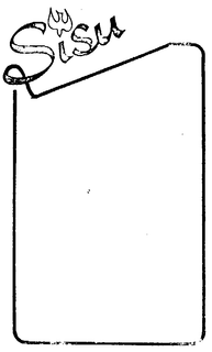 SISU trademark