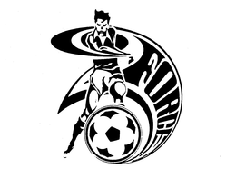 FORCE trademark