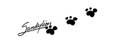 SANDYLION trademark