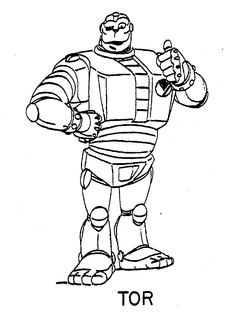 TOR trademark