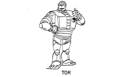 TOR trademark