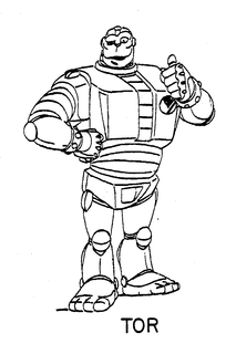 TOR trademark