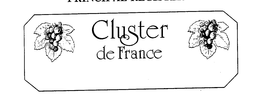 CLUSTER DE FRANCE trademark
