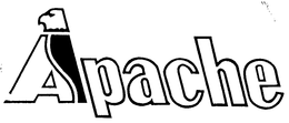 APACHE trademark