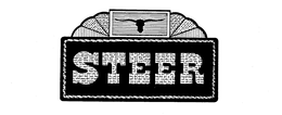 STEER trademark