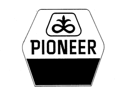 PIONEER trademark