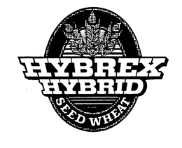 HYBREX HYBRID SEED WHEAT trademark