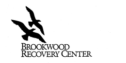 BROOKWOOD RECOVERY CENTER trademark