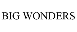BIG WONDERS trademark