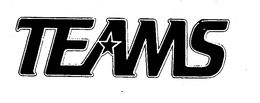TEAMS trademark
