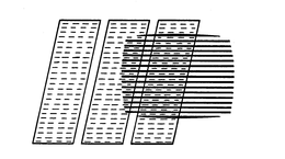 III trademark