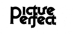 PICTURE PERFECT trademark
