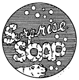 SURPRISE SOAP trademark