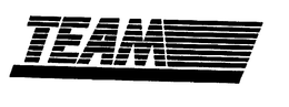 TEAM trademark