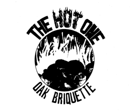 THE HOT ONE OAK BRIQUETTE trademark