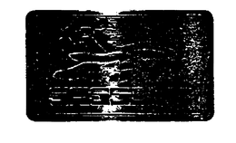 SASSOON trademark