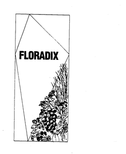 FLORADIX trademark
