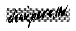 DESIGNERS, LTD. trademark