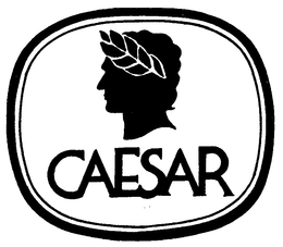 CAESAR trademark