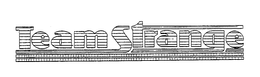 TEAM STRANGE trademark