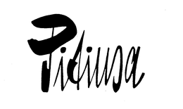 PITIUSA trademark