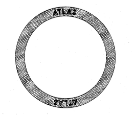 ATLAS trademark