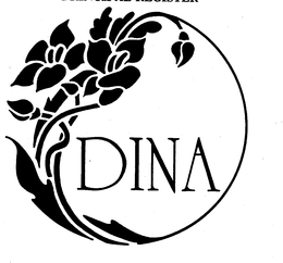 DINA trademark