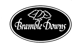 BRAMBLE DOWNS trademark