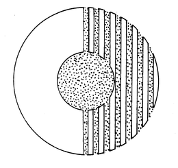 C trademark