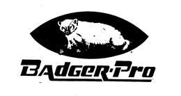 BADGER-PRO trademark