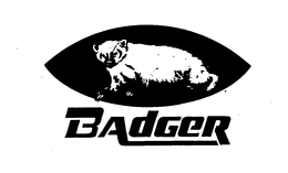 BADGER trademark