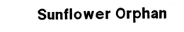 SUNFLOWER ORPHAN trademark