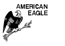 AMERICAN EAGLE trademark