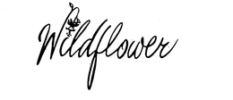 WILDFLOWER trademark