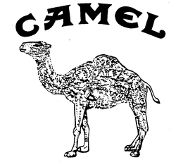 CAMEL trademark